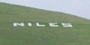 NilesSignGreen