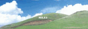 NilesThin