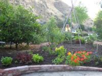 Garden_May_med